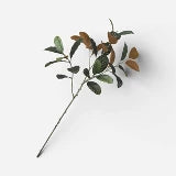 40" Magnolia Leaf Branch
