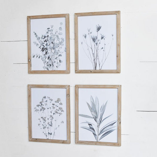 Botanical Wall Art - Set of 4