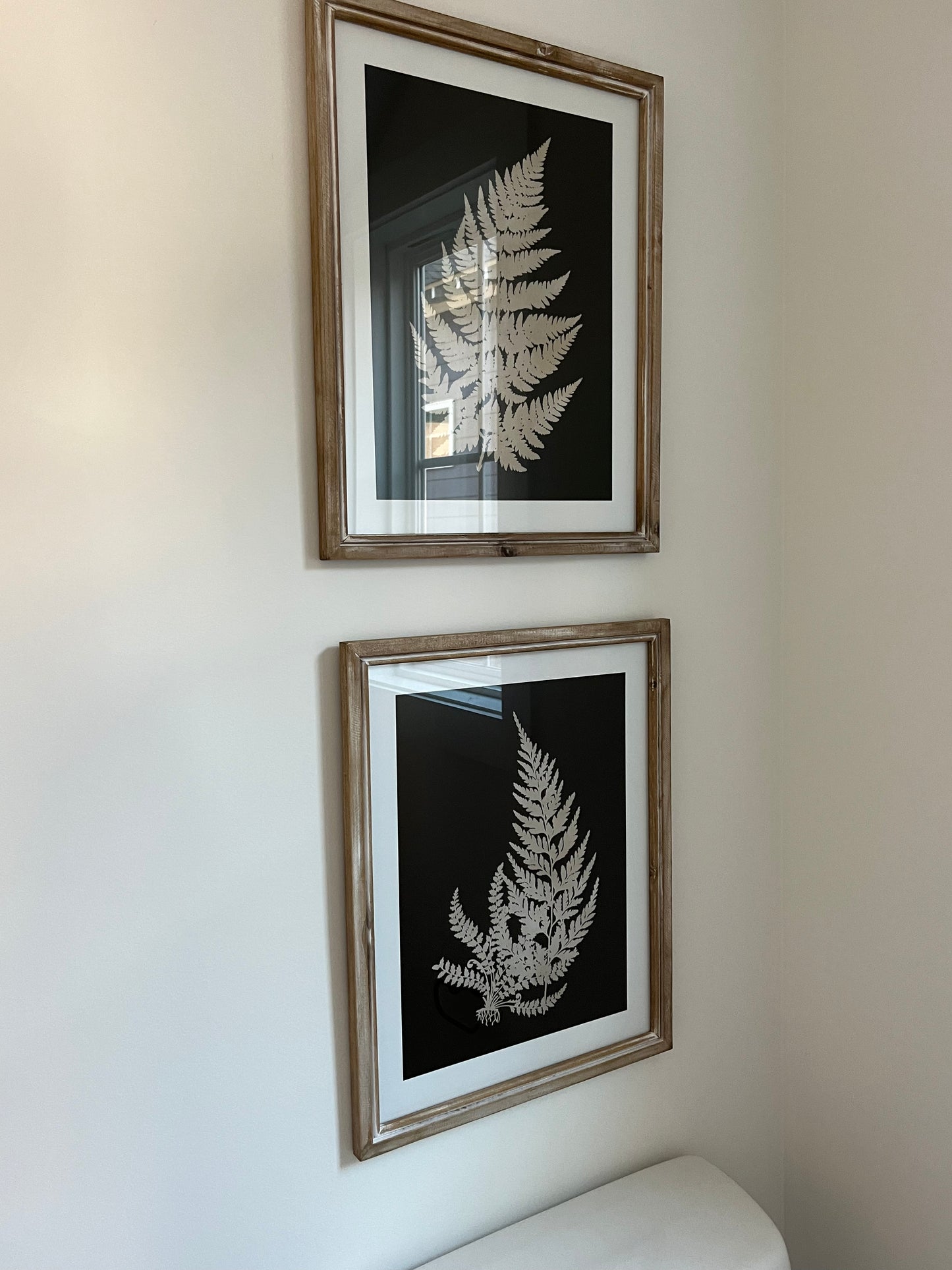 Fern Wall Art - Set of 3