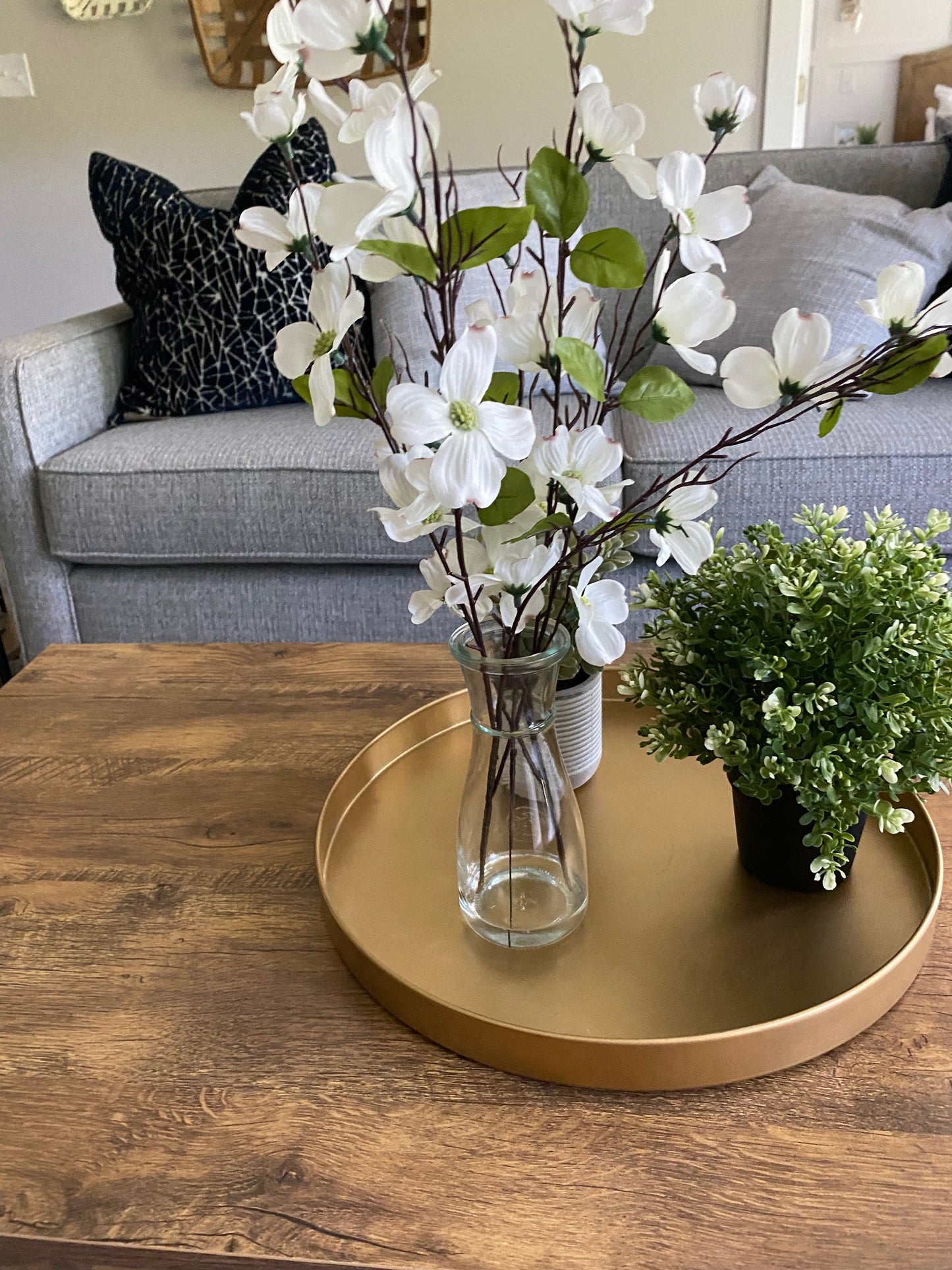 Round Boxwood in Black Pot