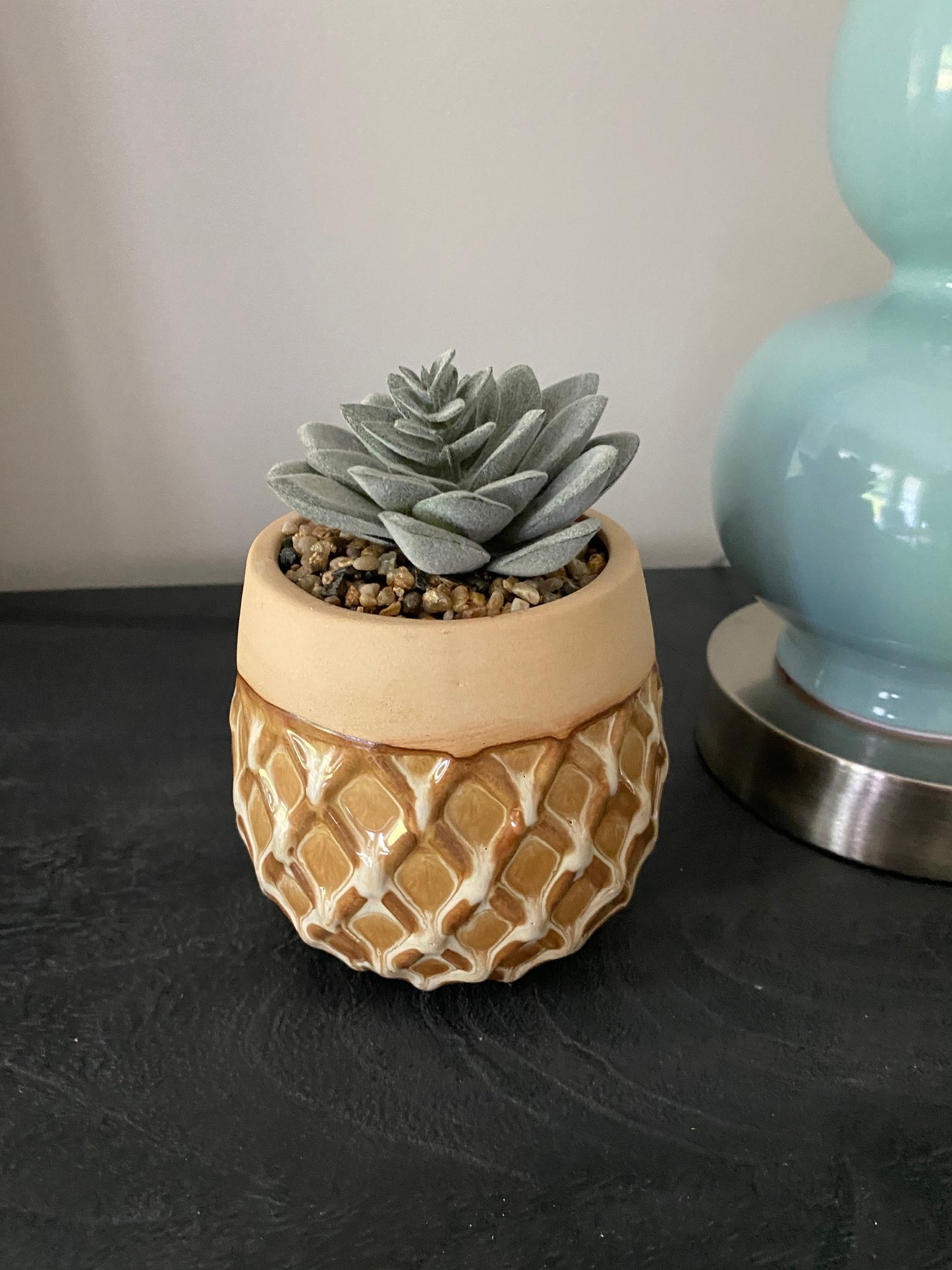 Mini Succulent with Rock Filler