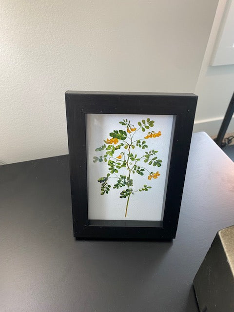 Black Framed Floral Leaf Print - 4x6