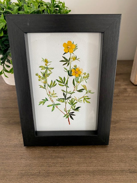 Black Framed Floral Leaf Print - 4x6