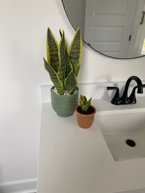 Faux Snake Plant in Green Pot