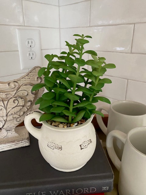 Faux Plant in Cup with Handle