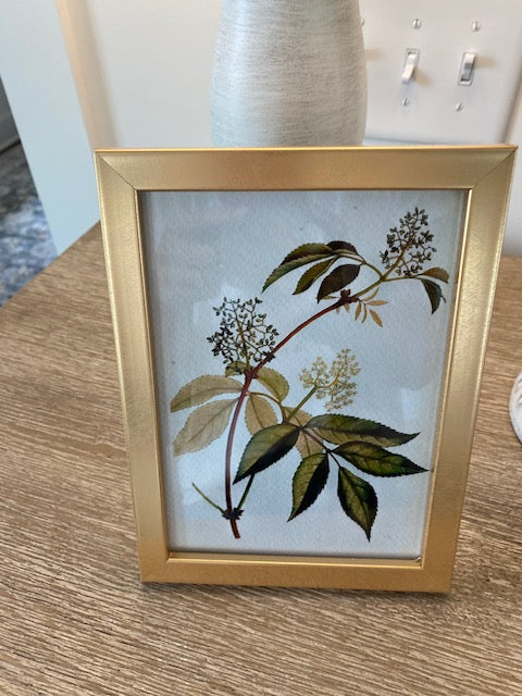 Gold Framed Floral Art - 5x7