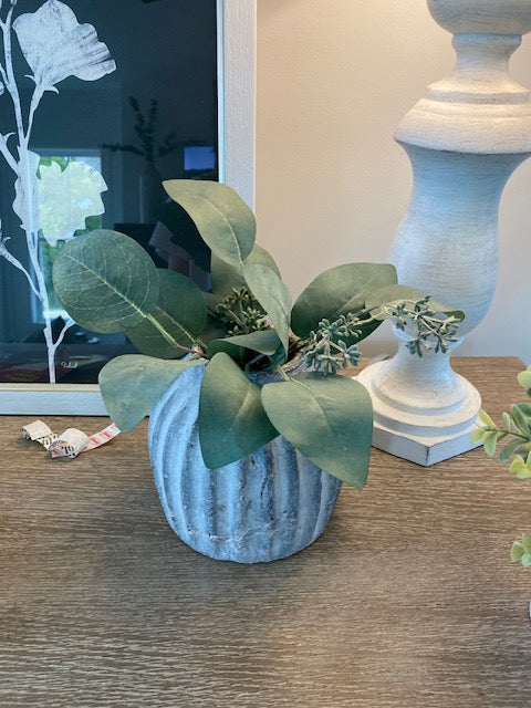 Round Concrete Pot with Greenery