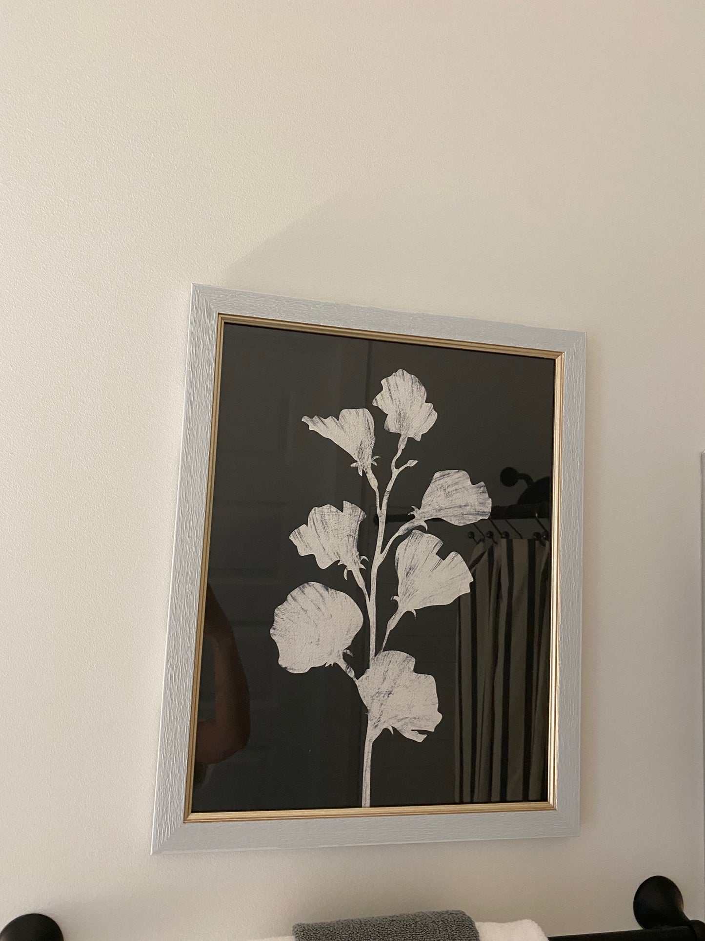 Black and White Framed Floral Art