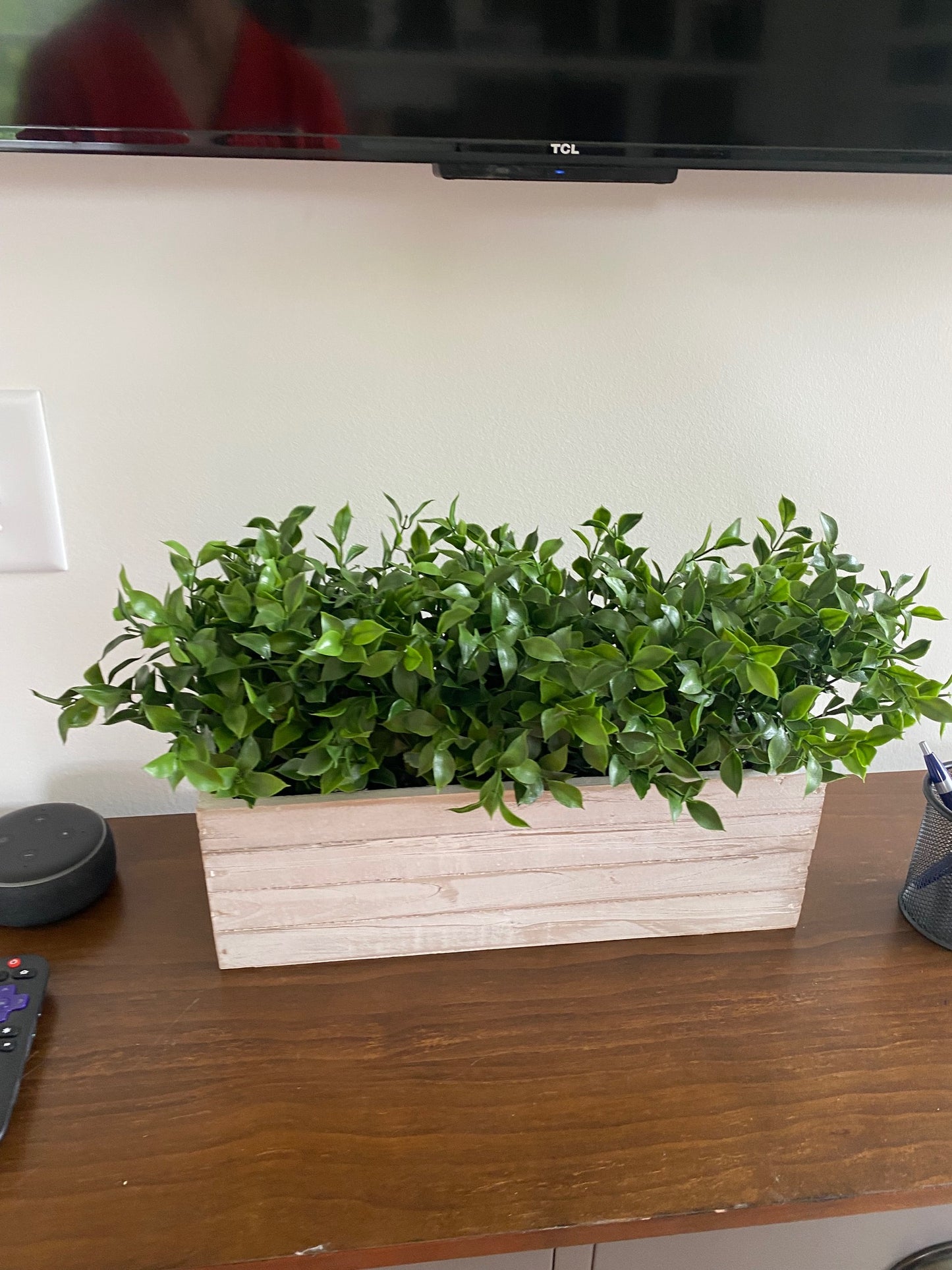 Boxwood in Rectangle Wooden Planter