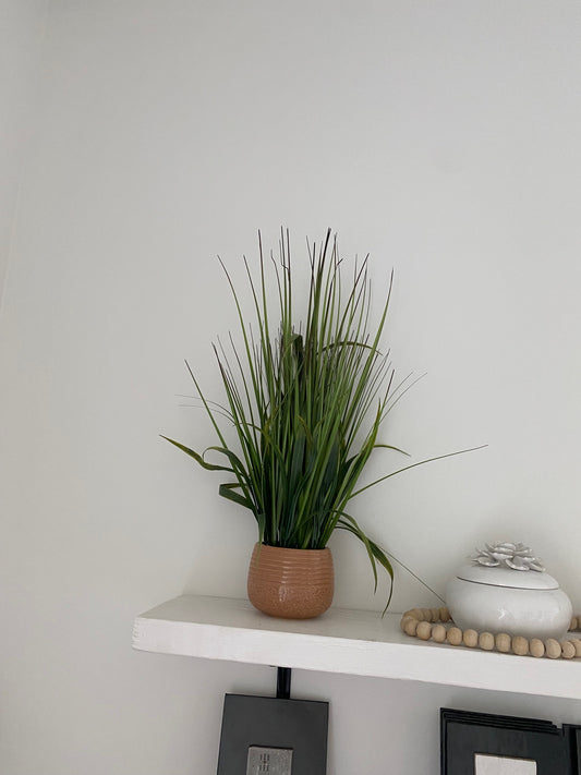 Faux Grass Plant