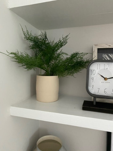 Fern in Ivory Pot