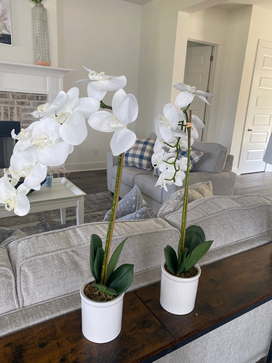 Faux Tall Potted Orchid