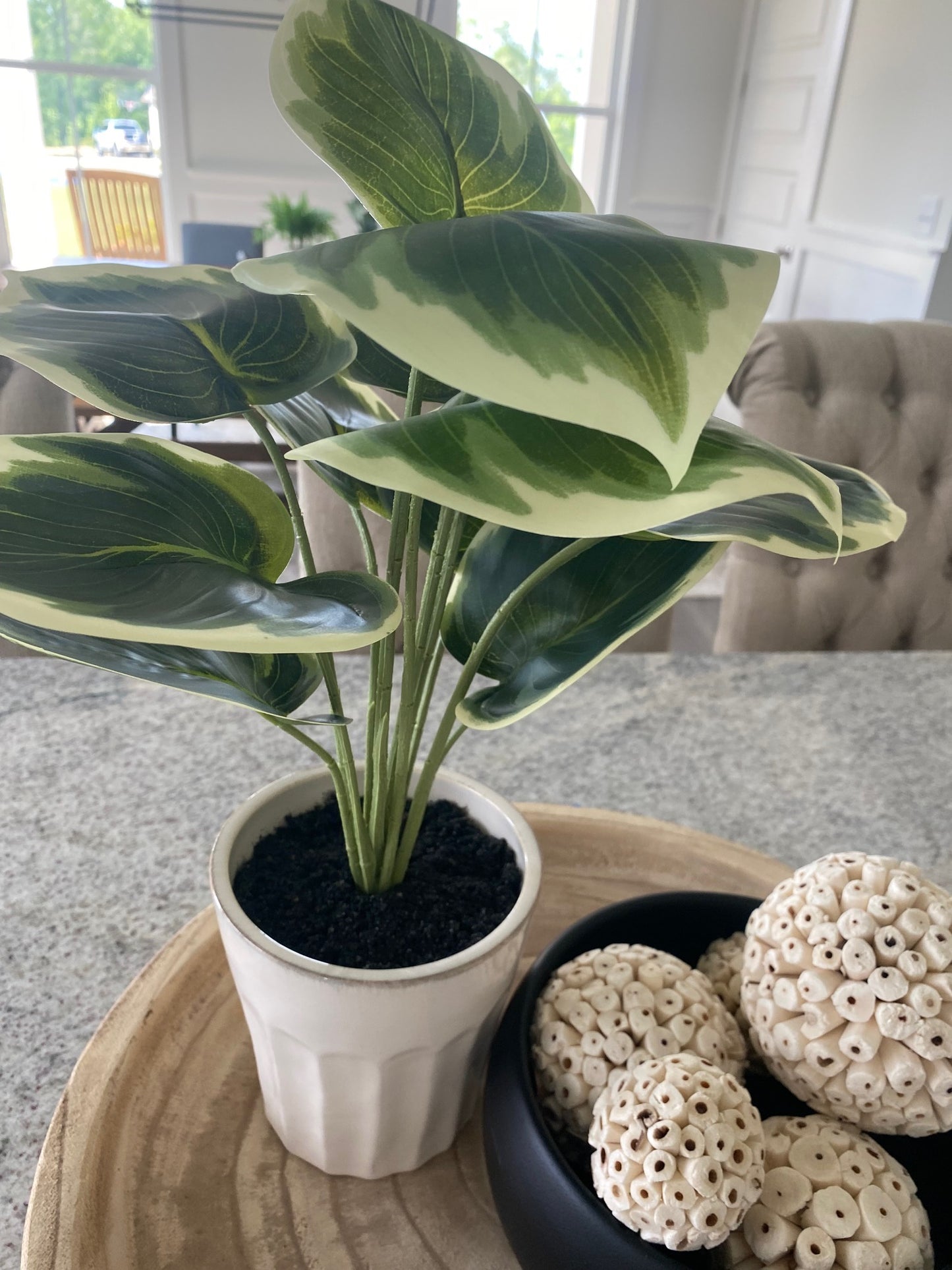 Faux Tropical Plant