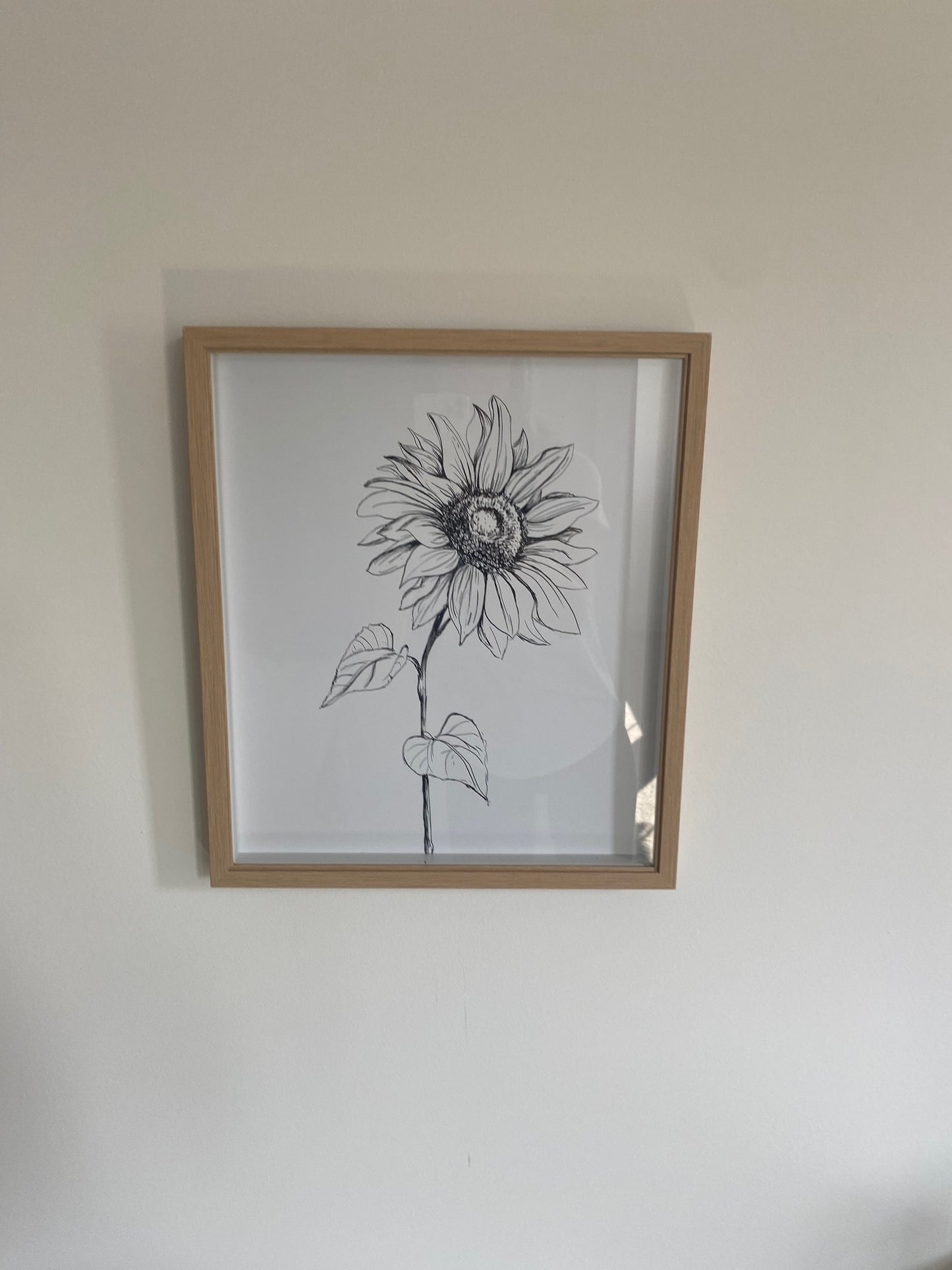 Sunflower Sketch Wall Art