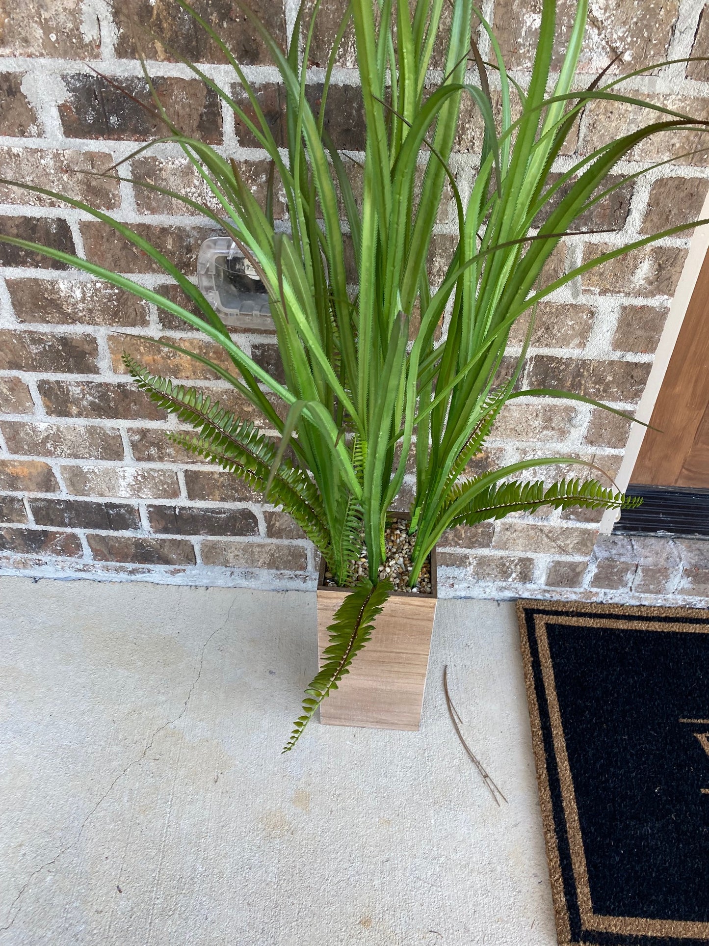 4' Grass in Wood Pot