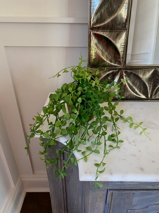 Faux Maidenhair Fern