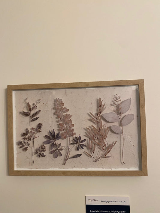 Pressed Botanical Wall Art