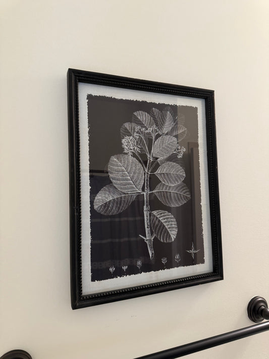 Black Frame with Plant Art
