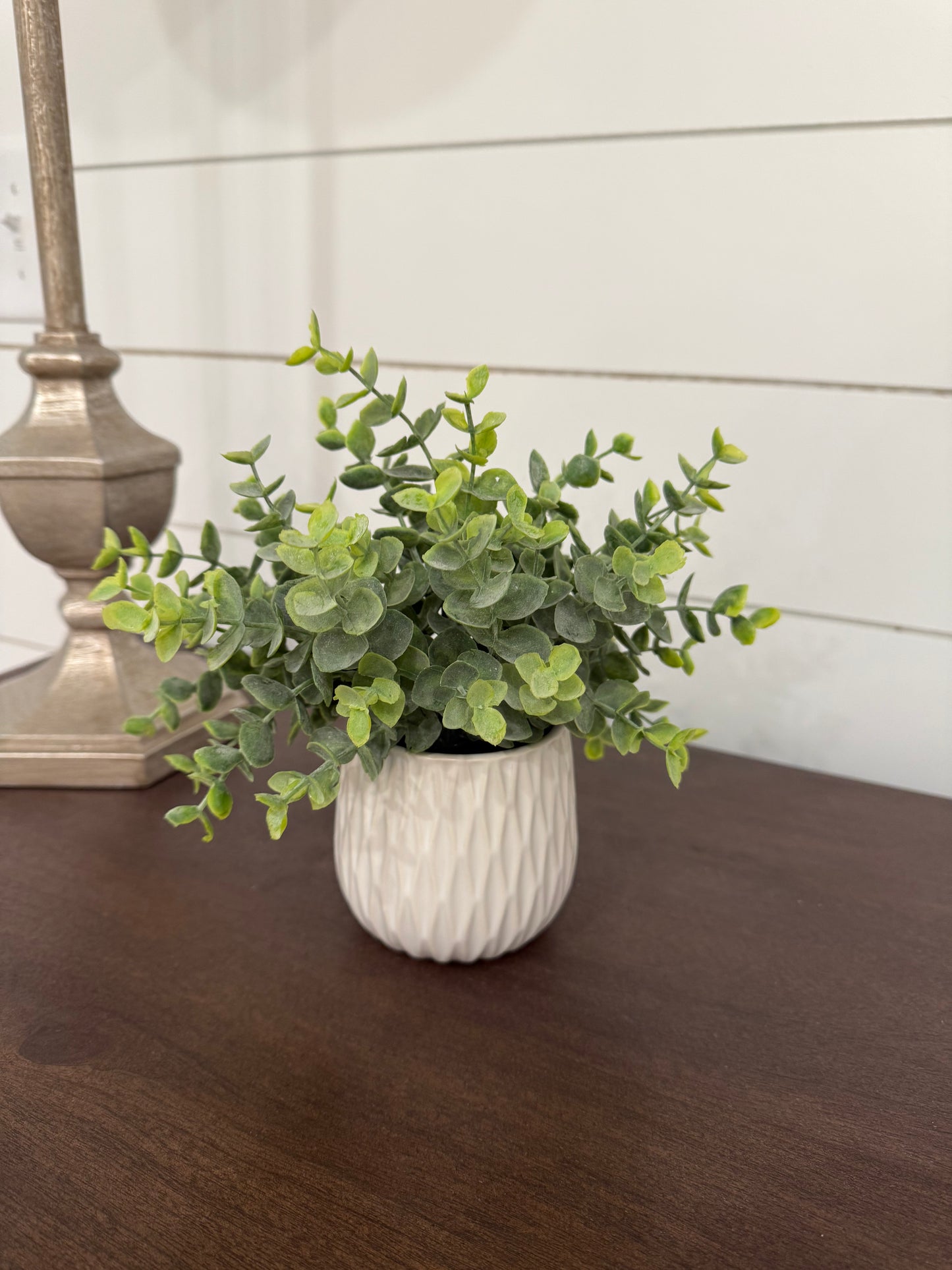 Small White Potted Plant