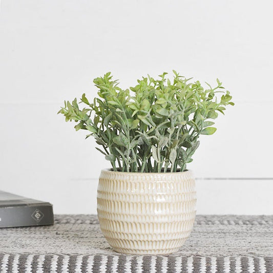 Baby Leaves in Ceramic Pot