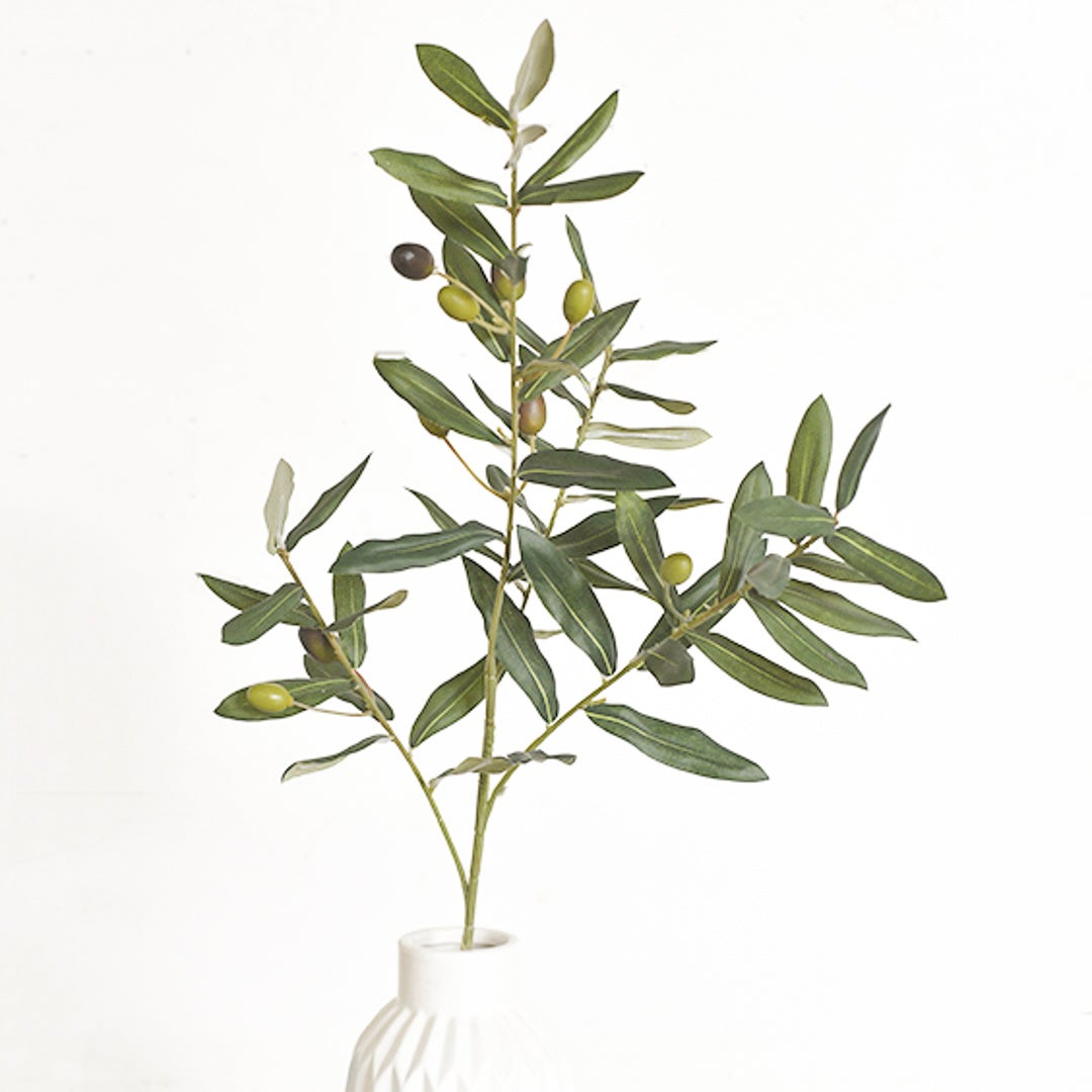 Olive Leaf Spray 30"