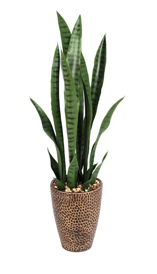 Tall Snake Plant in Hammered Bronze Pot