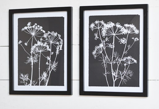 Whispy Flower Wall Art - Set of 2