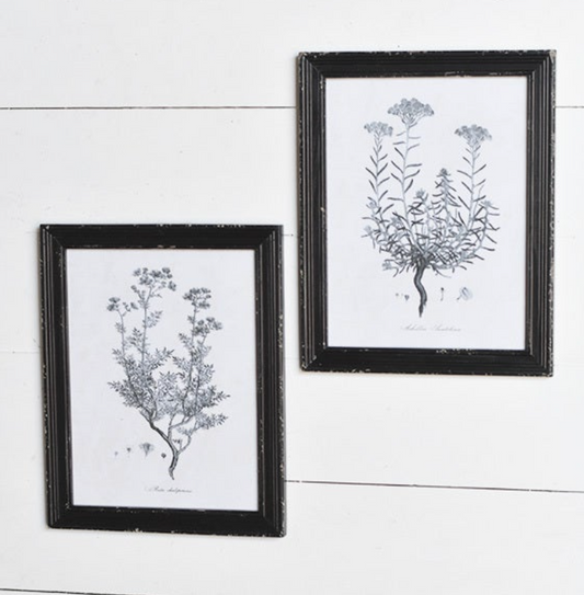 Set of 2 Botanical Wall Art