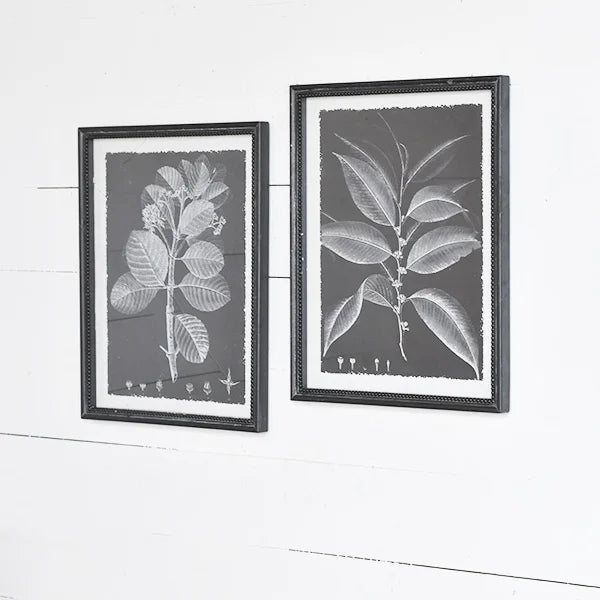 Black and White Leaf Wall Decor - Set of 2