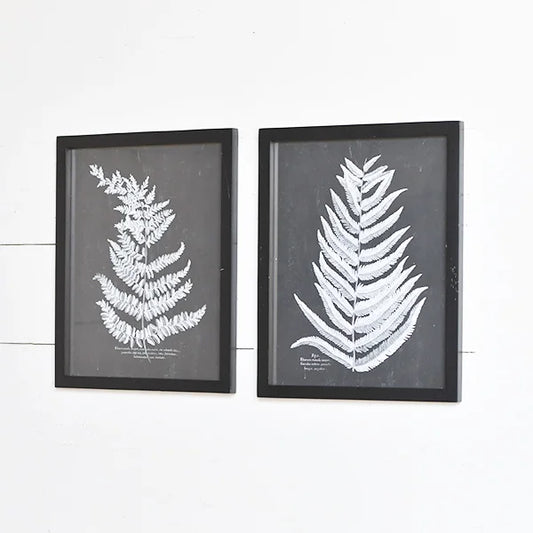 Black and White Fern Wall Decor - Set of 2