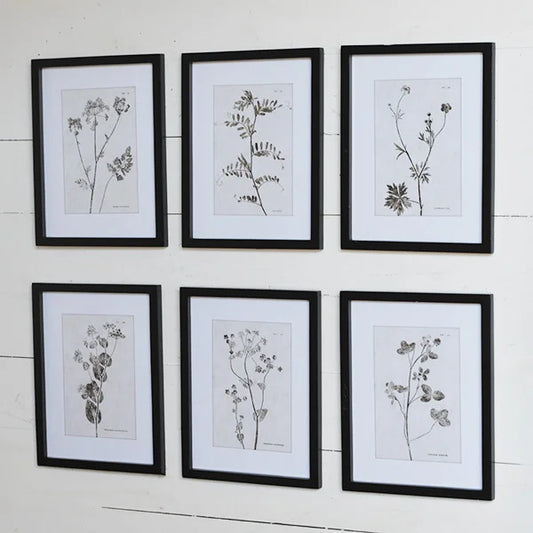 Botanical Wall Art - Set of 6