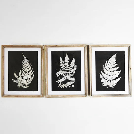 Fern Wall Art - Set of 3