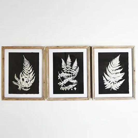 Fern Wall Art - Set of 3