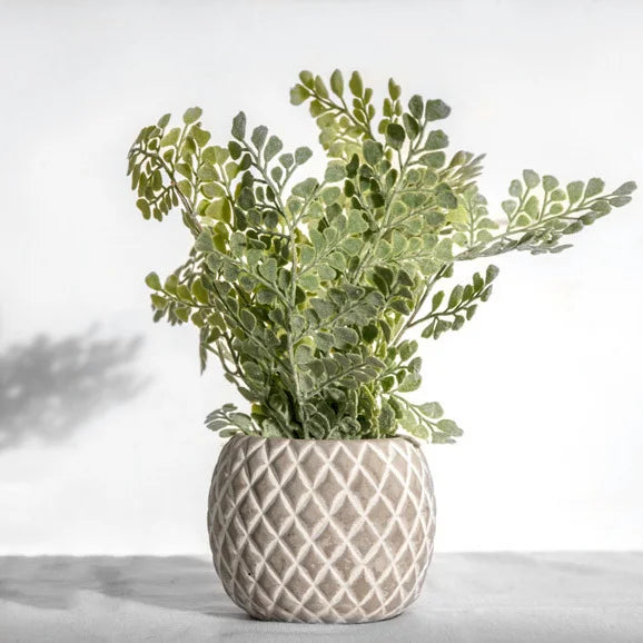 Faux Fern In Diamond Pot