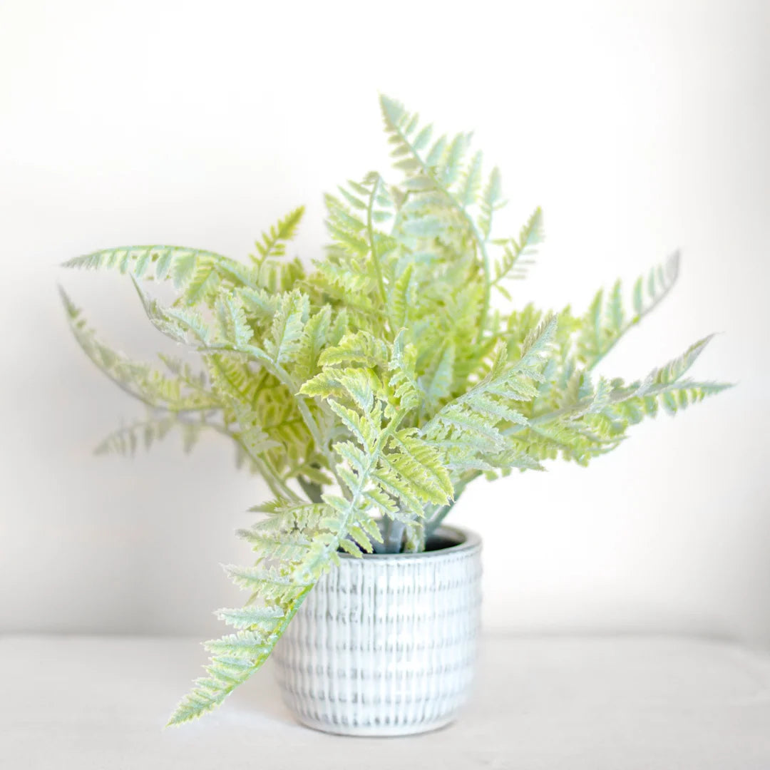 Leafy Potted Plant in Gray Pot