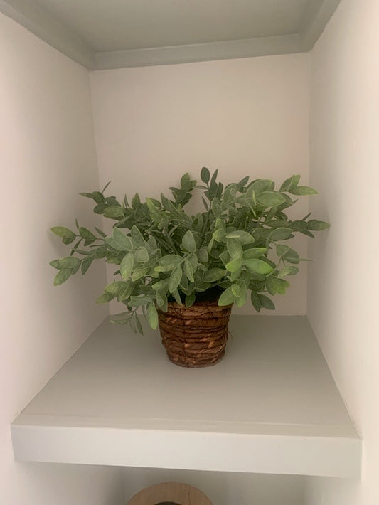 Small Plant in Rattan Basket