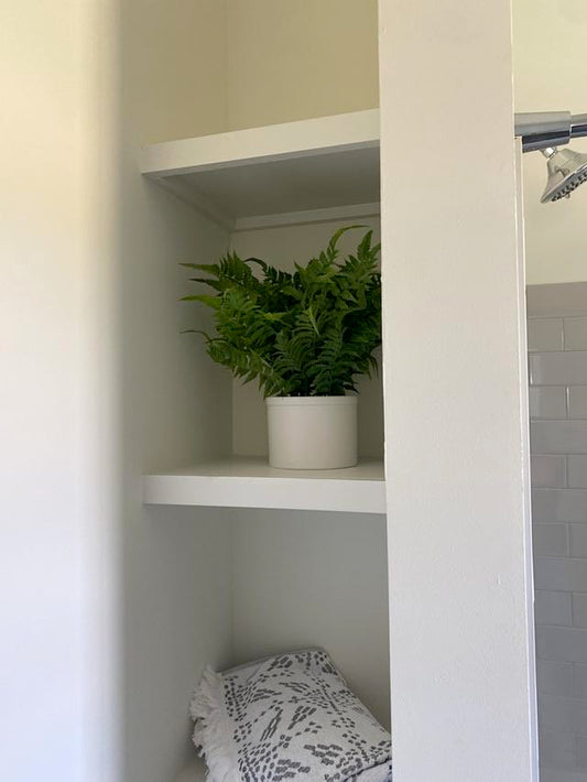 Fern in Medium White Pot