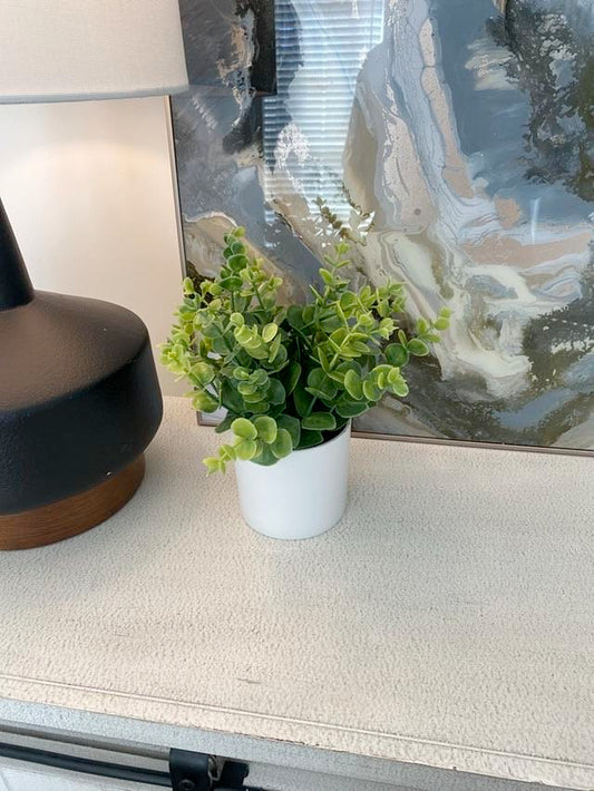 Small Potted Plant in White Pot