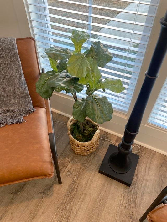 Faux Fiddle Leaf Fig in Rattan Basket