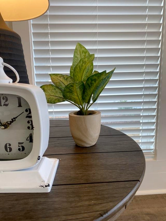 Small Faux Plant in Wood Vase