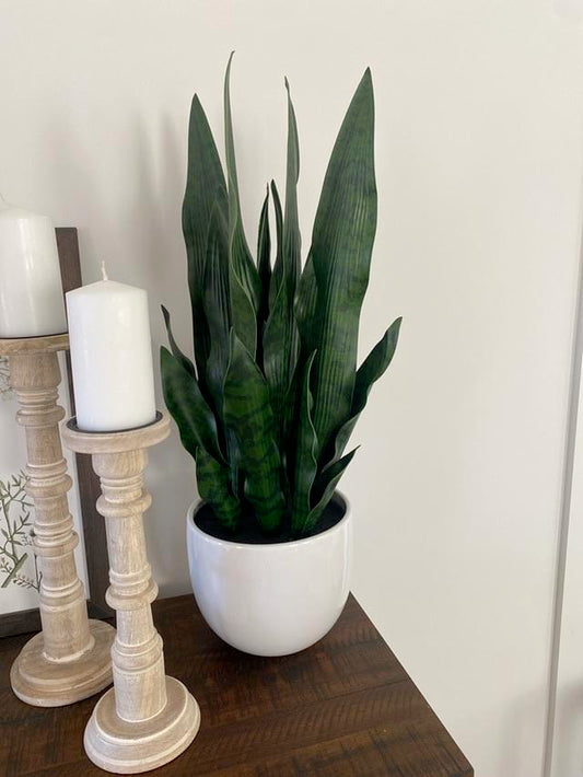 Potted Faux Snake Plant