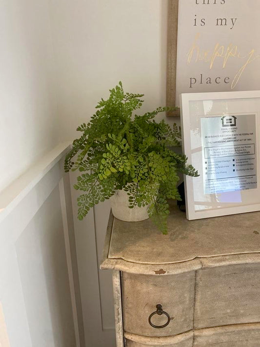Faux Plant in Stone Pot (Medium)