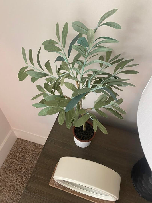 Faux Desk Plant