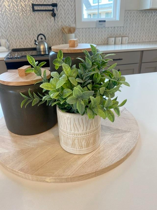 Faux Potted Plant - White Textured Container