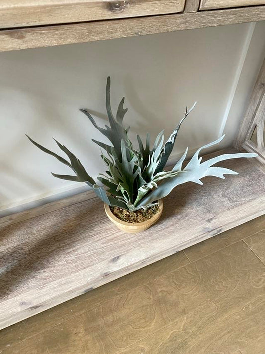 Faux Christmas Cactus Plant