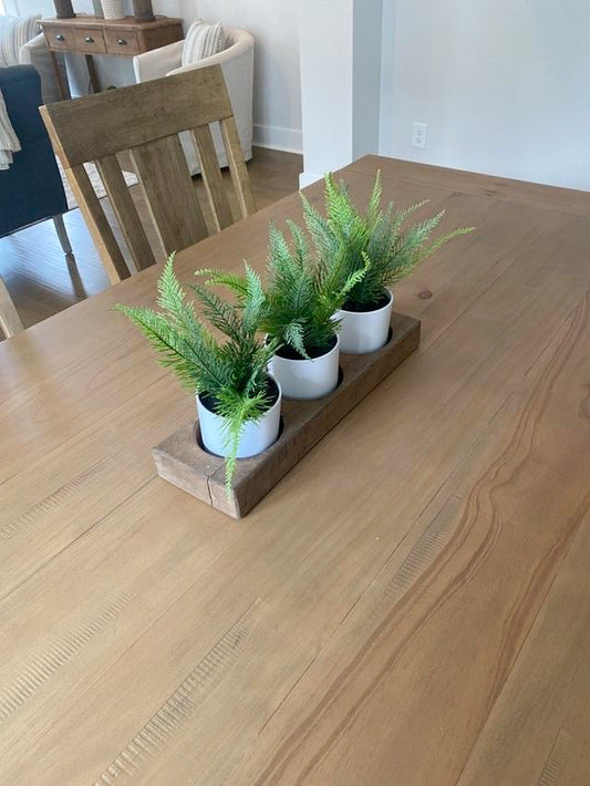 Planter with 3 Ferns