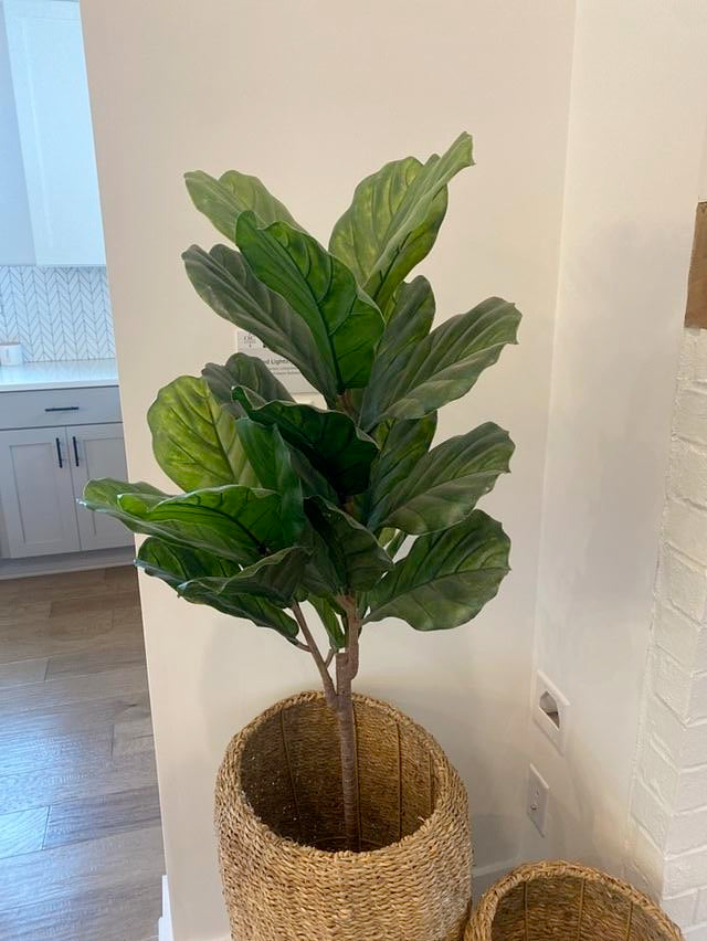 Faux Fiddleleaf Fig