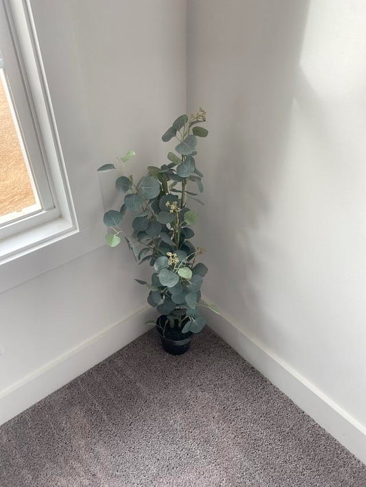 Faux Eucalyptus Plant