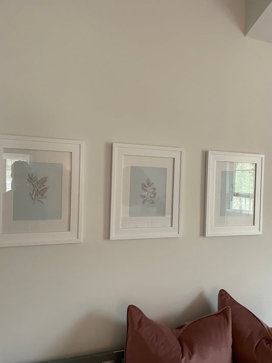 Blush Botanical Prints Framed in White - Set of 3