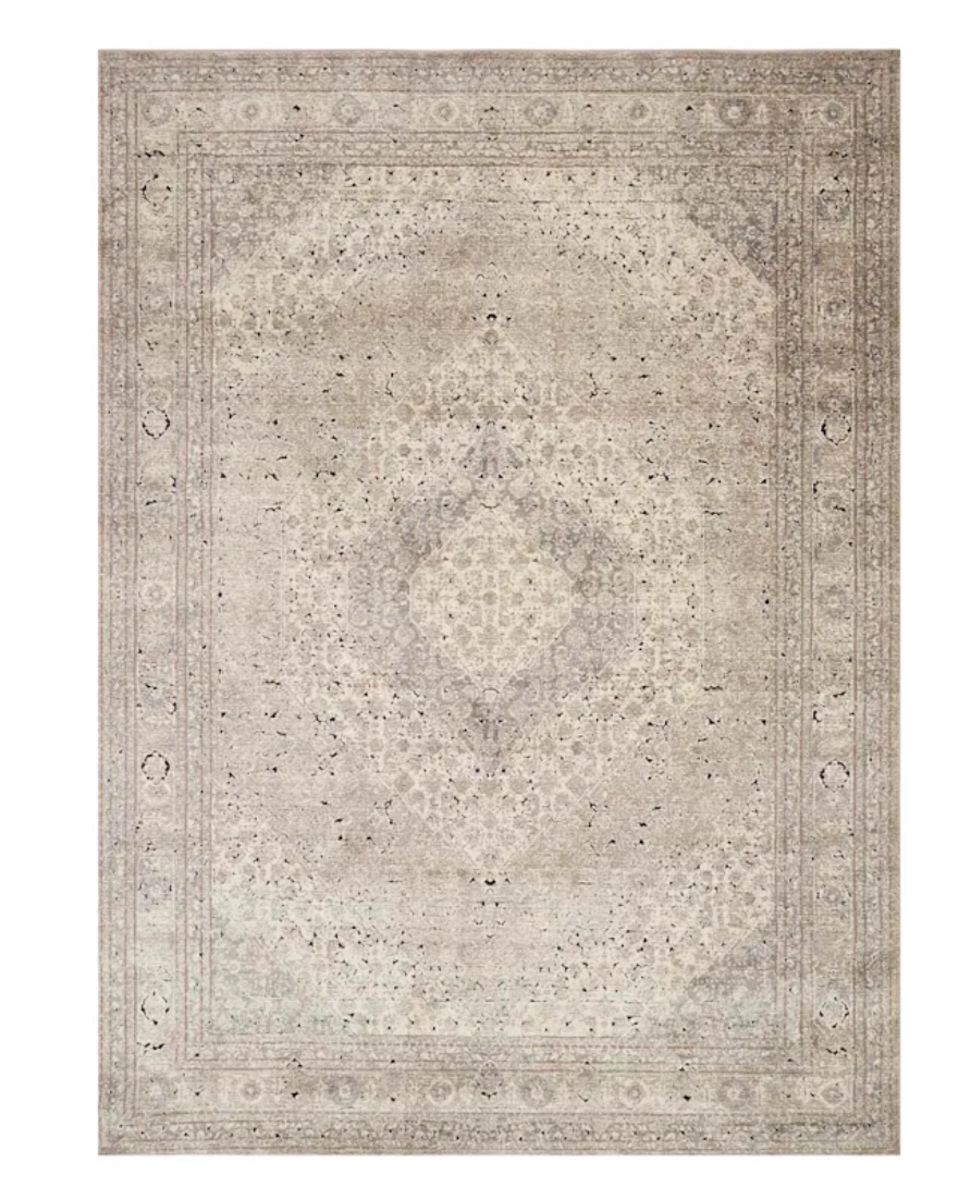 Xander Ivory and Tan 8x10 Rug